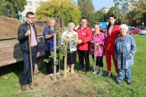 Посадили парк им. 100- летия Ленинского Комсомола Беларуси